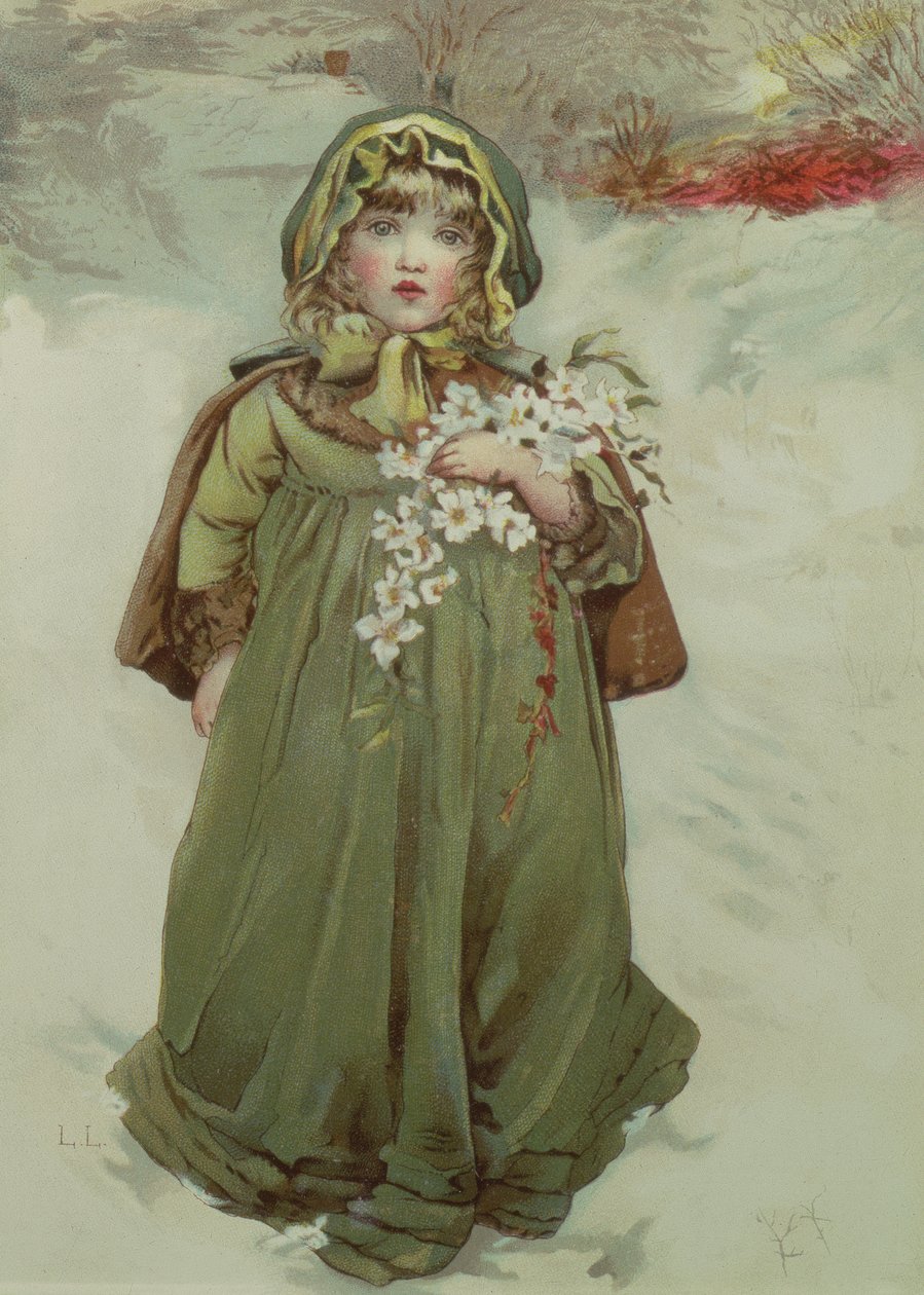 クリスマスローズの前絵、1880年 作： リジー・マック