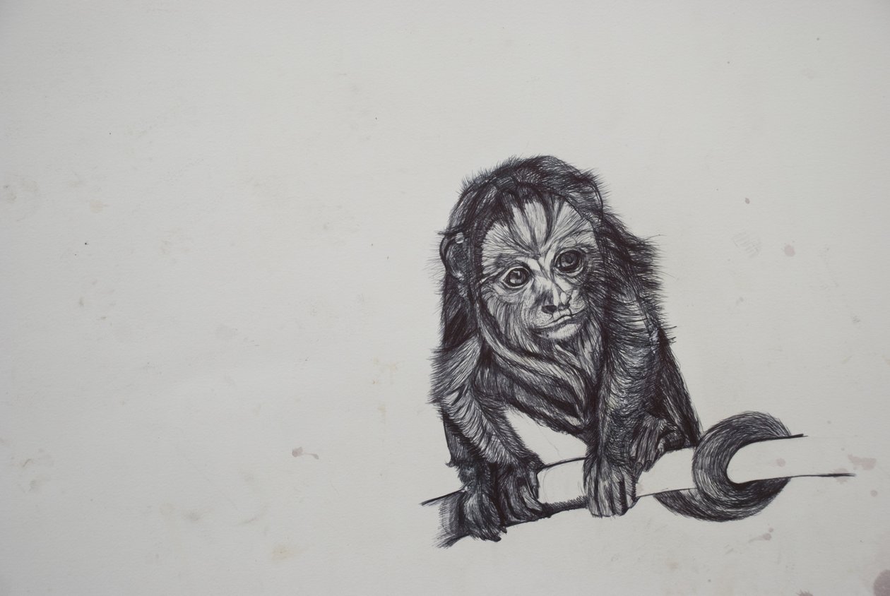 Monkey Business、2016、（bic biro on paper） 作： ルー・ギブス