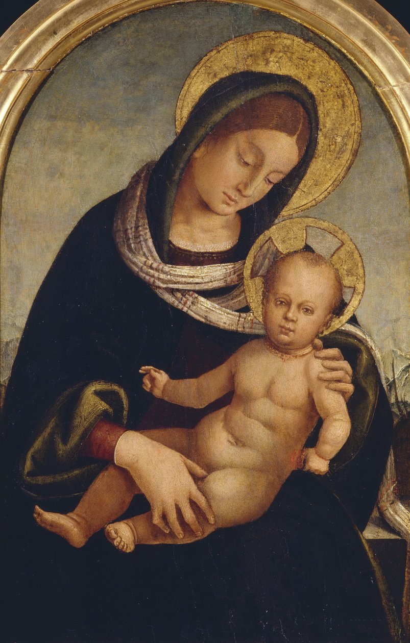 マドンナと子供、1510-1515年頃。 作： ルカ・シニョレッリ