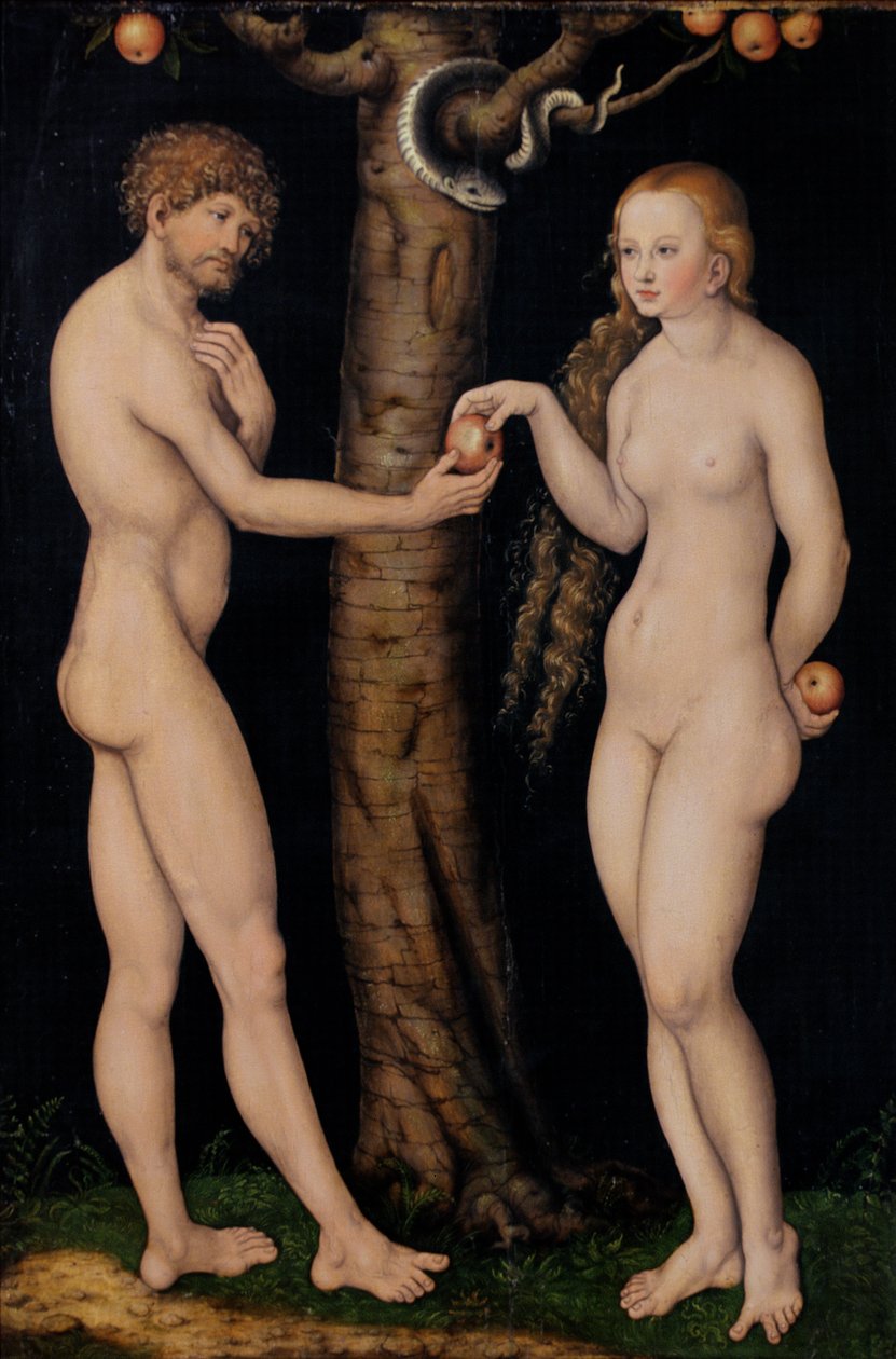 エデンの園のアダムとイブ、c.1520-25（木の上の油） 作： ルーカス・クラナッハ・ザ・エルダー