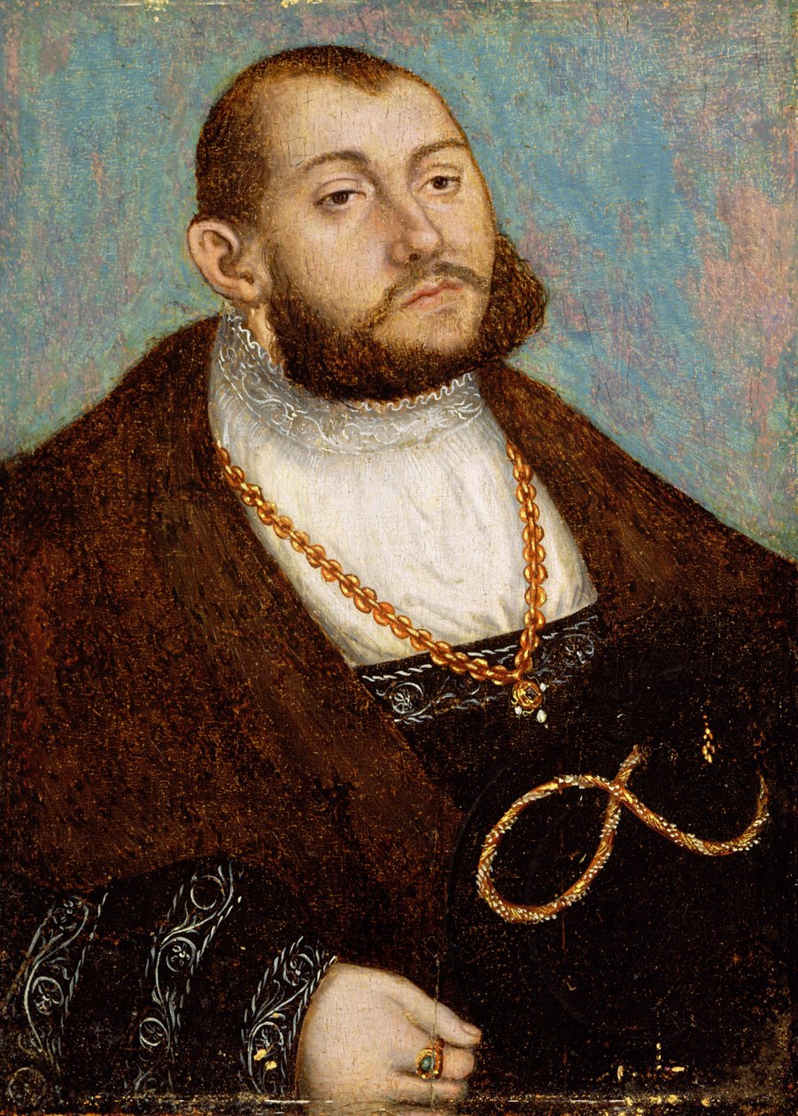 1530年頃、ザクセン州の有権者ヨハンフリードリッヒ大管長（1503-53）の肖像 作： ルーカス・クラナッハ・ザ・エルダー