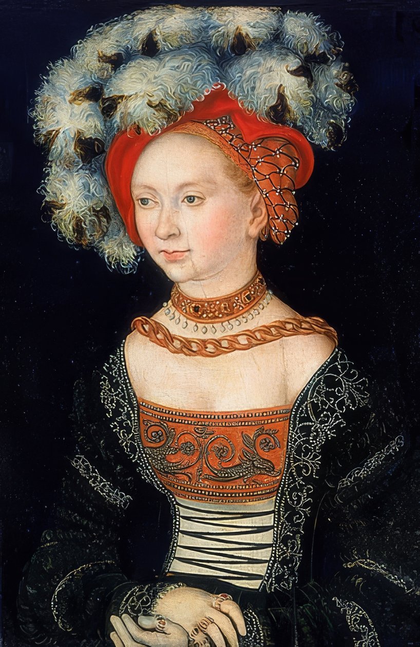 女性の肖像画。 1530年頃 作： ルーカス・クラナッハ・ザ・エルダー