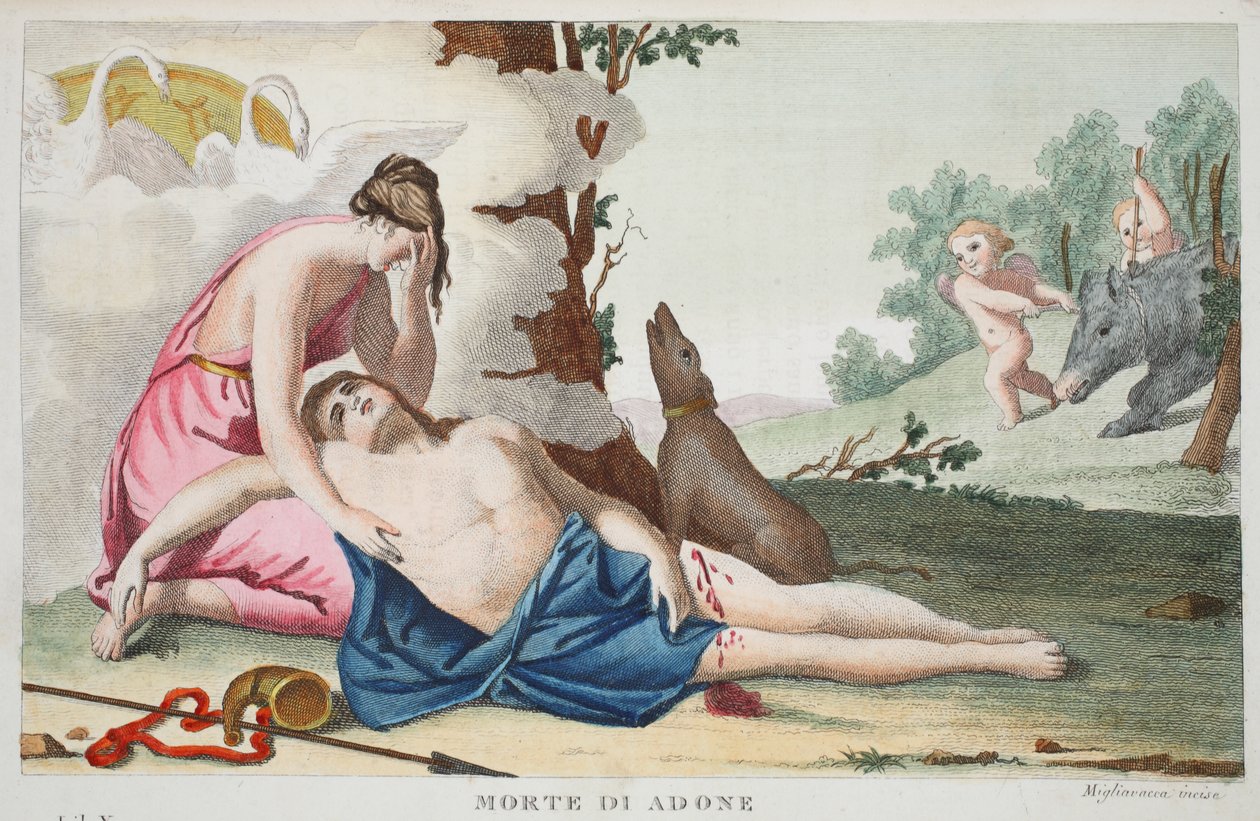 アドニスまたはモルトディアドネの死、ブックX、Ovidのメタモルフォーゼのイラスト、フィレンツェ、1832年（手描きの彫刻） 作： ルイージアデモロ
