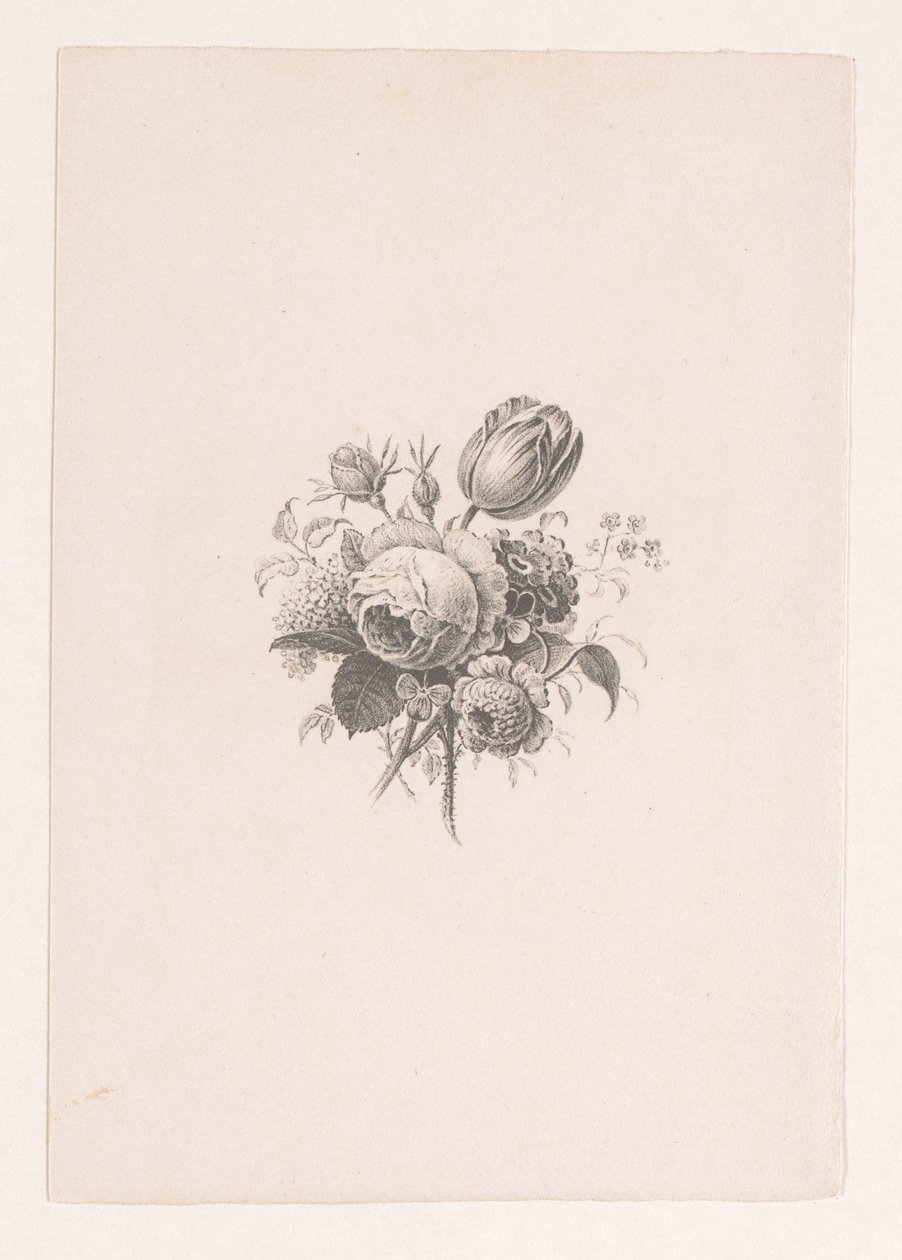 花束 作： Maria Geertruida de Goeje Barbiers（帰属）