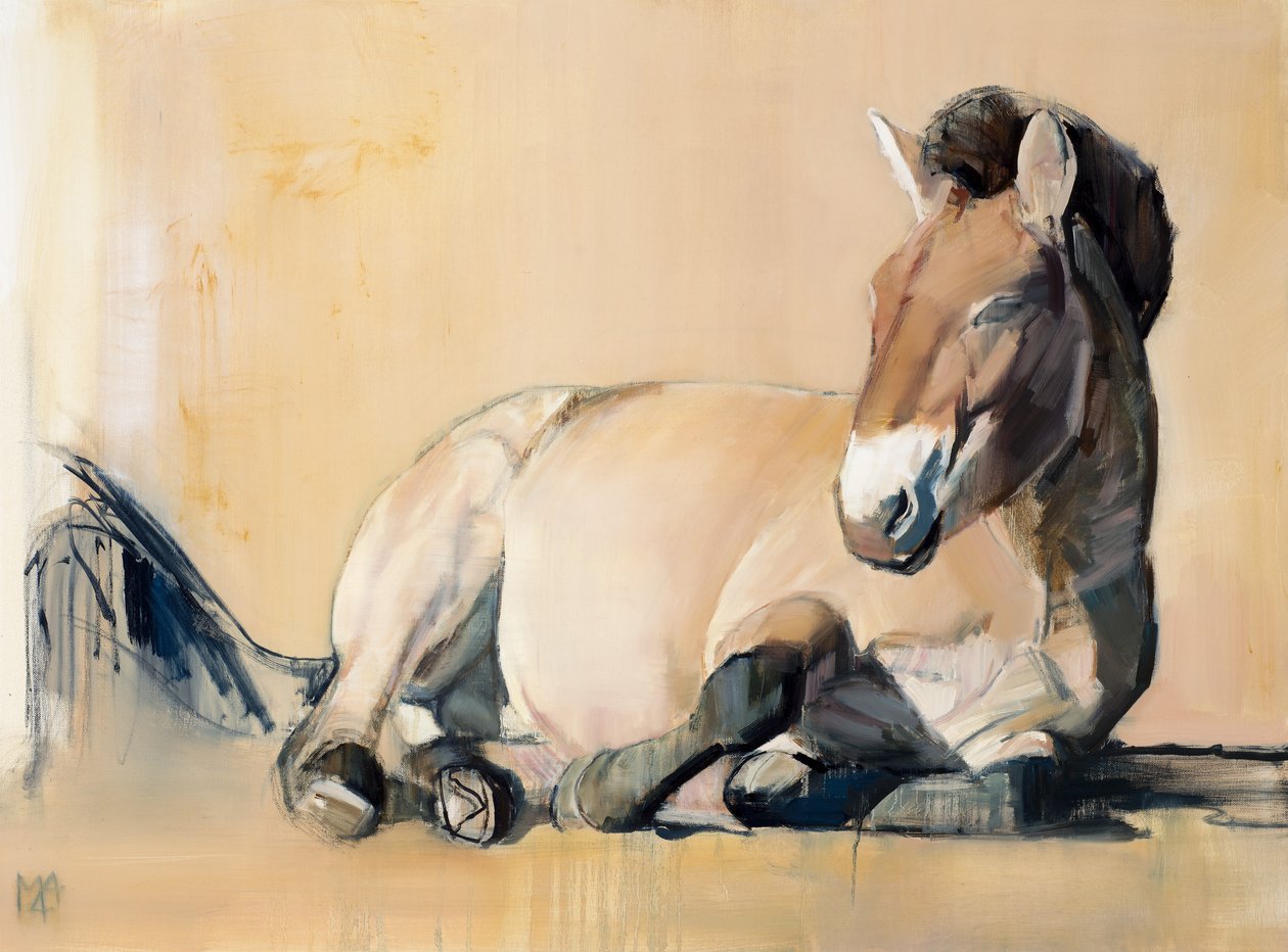 高原の太陽（Przewalski）、2014年、 作： マーク・アドリントン