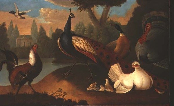 様々な鳥のいる風景 作： マーマデューク・クラドック