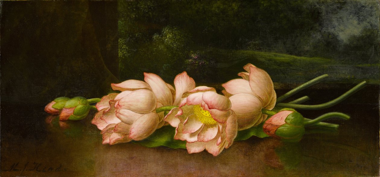 背景に風景画を描いた蓮の花 作： マーティン・ジョンソン・ヘッド
