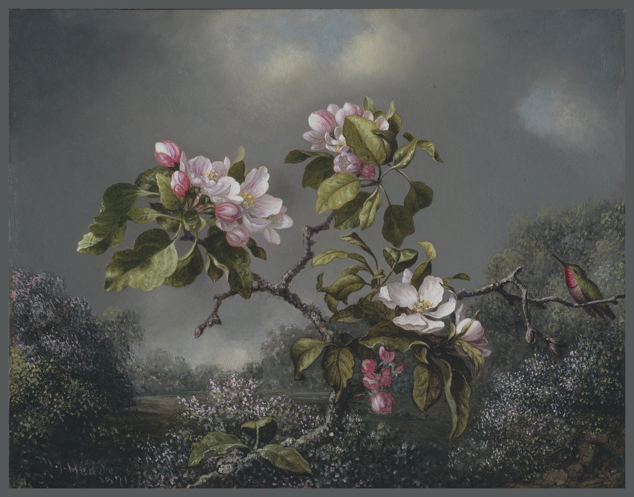 Apple Blossoms and Hummingbird、1871 作： マーティン・ジョンソン・ヘッド