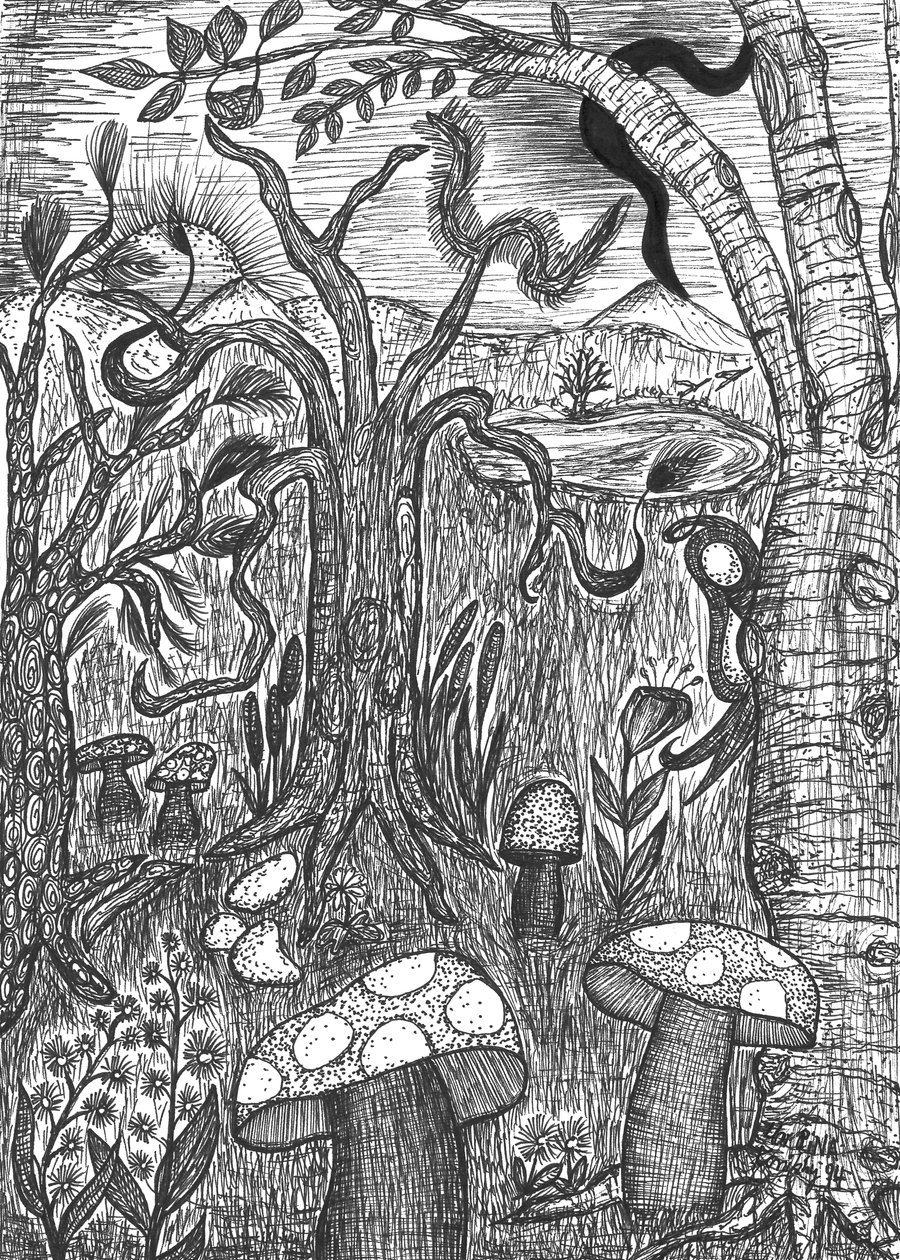 キノコのある風景 作： マルティナ・コニツキー