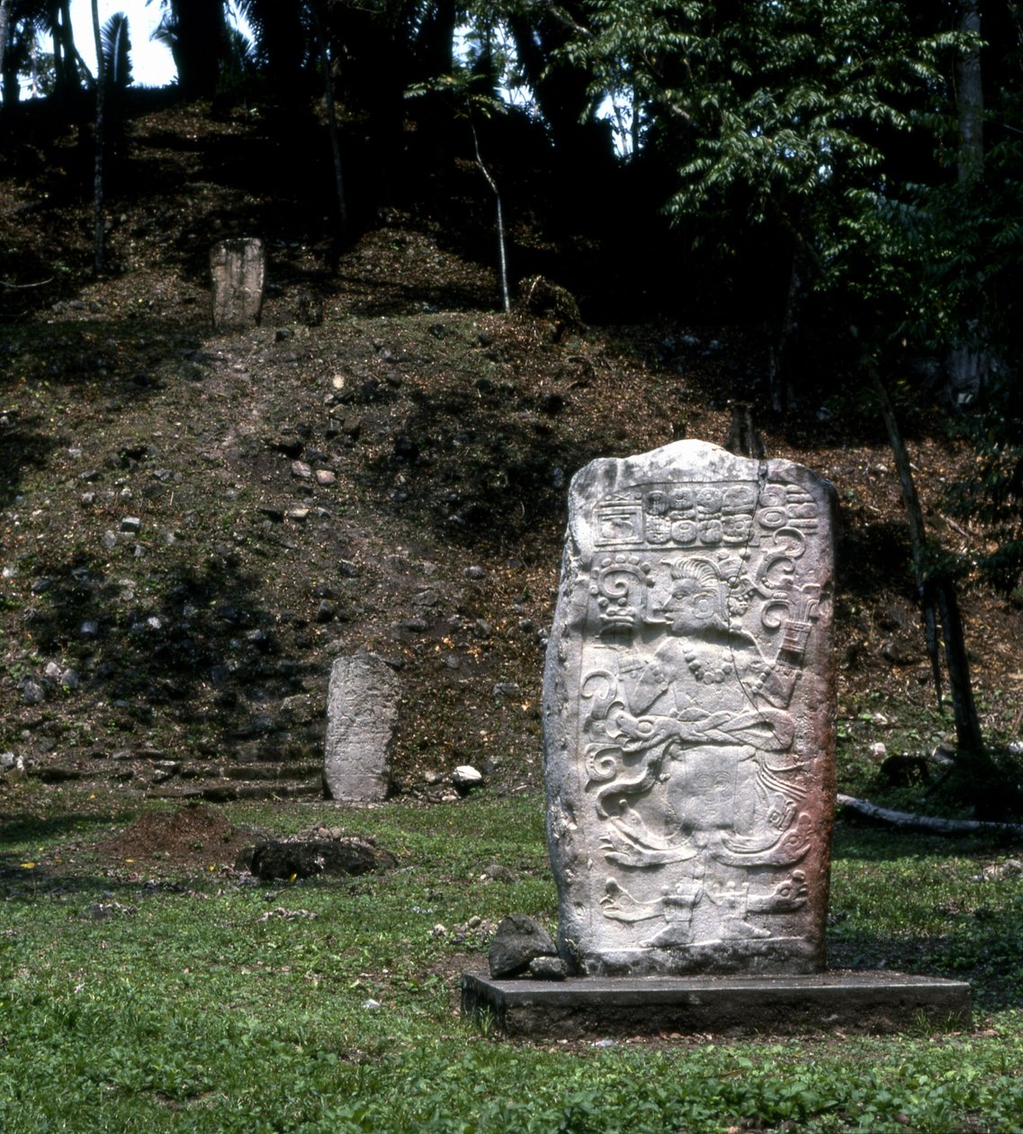 Seibal、Stela 13、Ultimate Classic Period、849 AD 作： マヤ