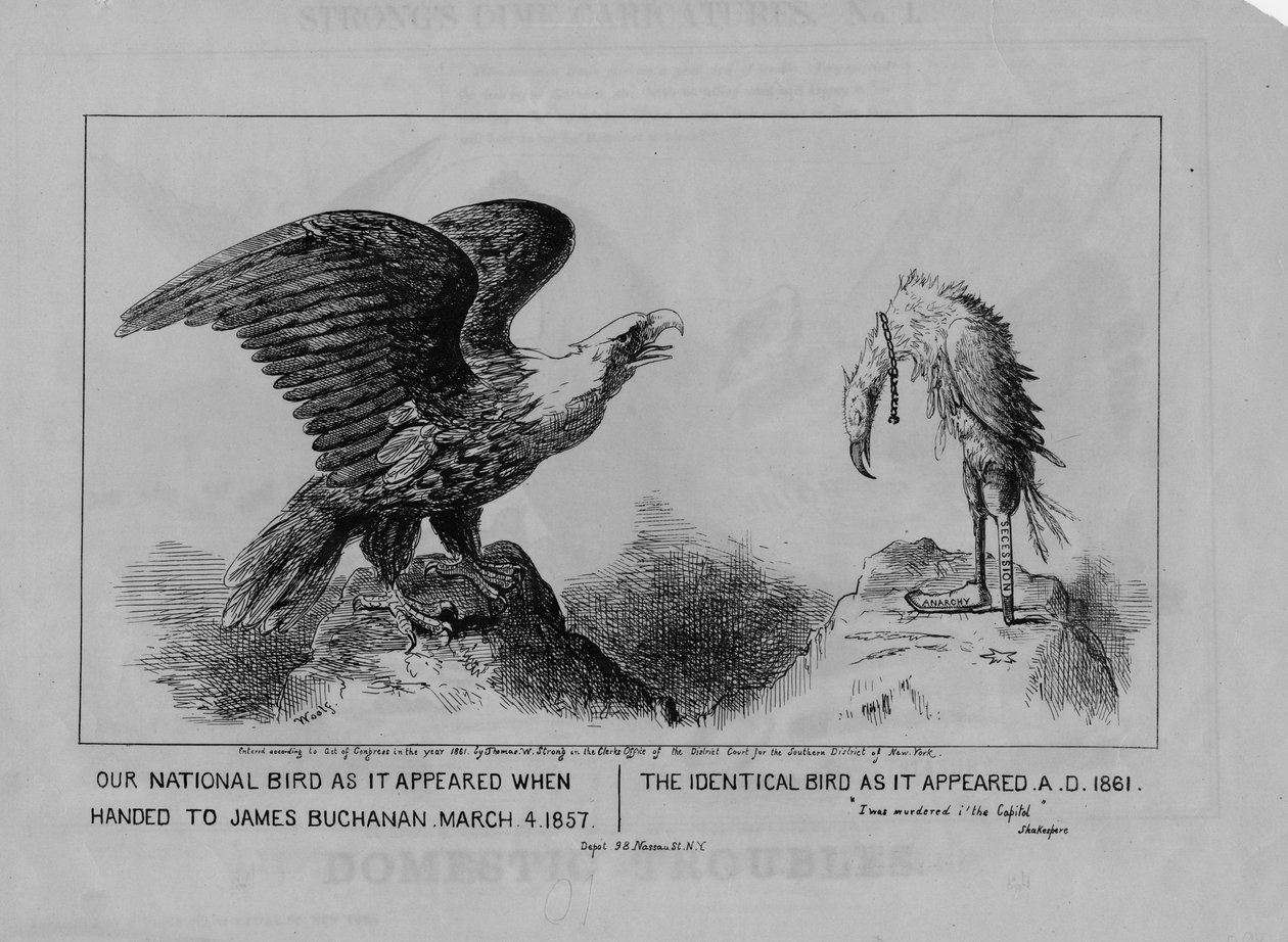 私たちの国の鳥、1861年に公開 作： マイケル・アンジェロ・ウルフ