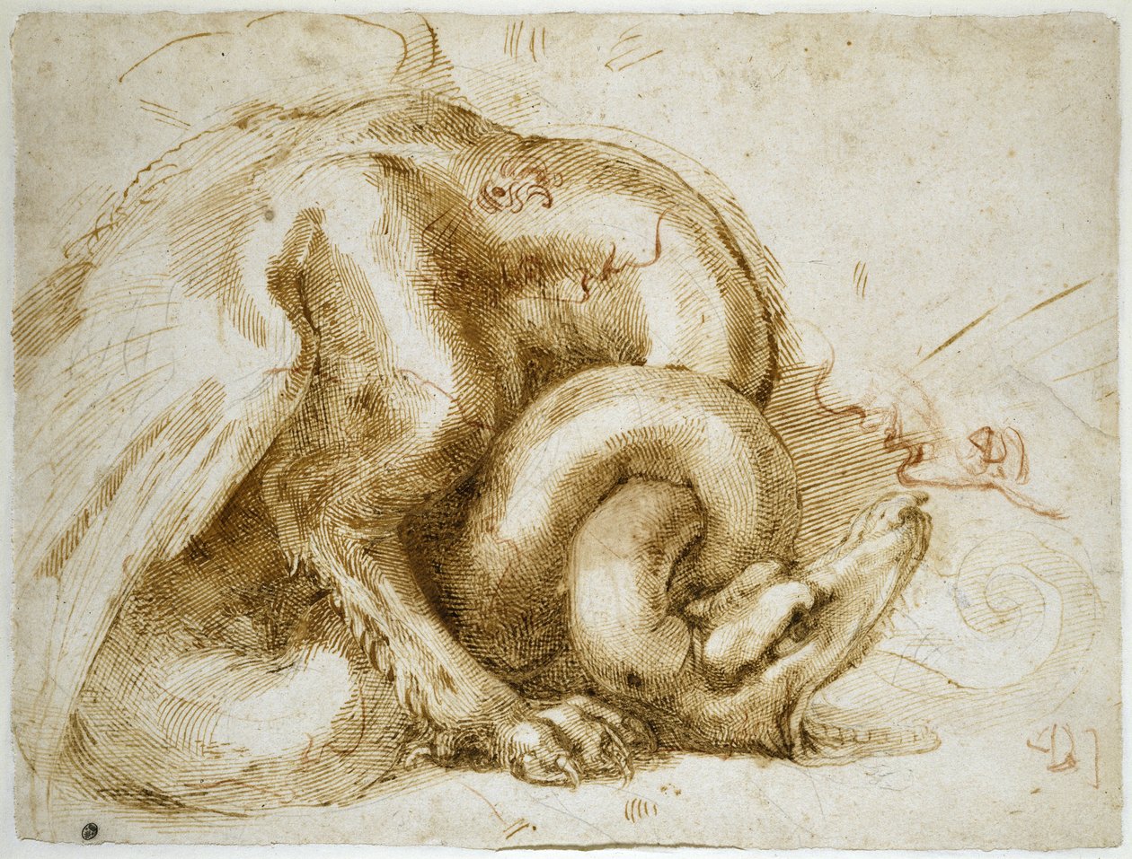 翼のあるモンスターの研究、c.1525（紙に赤と黒のチョーク） 作： ミケランジェロ・ブオナローティ