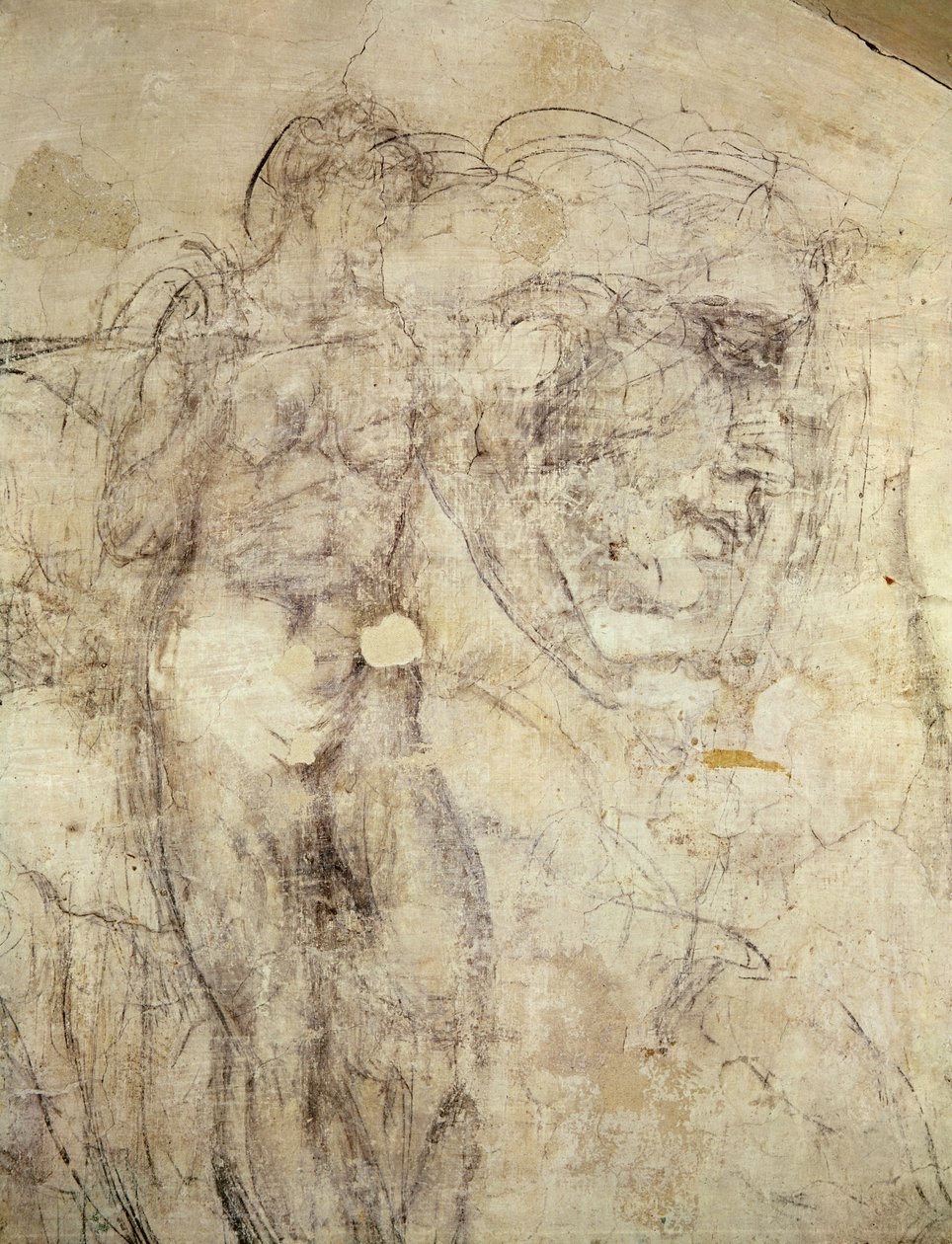 女性像と頭の壁画、c.1530（石膏に木炭） 作： ミケランジェロ・ブオナローティ
