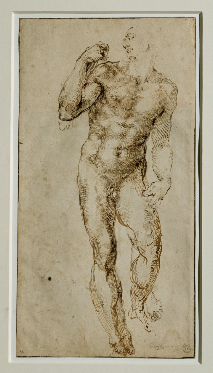 男性ヌード、正面、1502-1506年頃... 作： ミケランジェロ・ブオナローティ