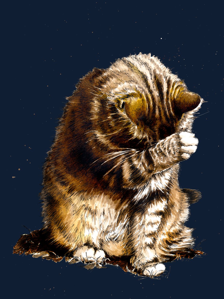 2020年ミッドナイトブルーの猫のスモールフライ 作： マイク・デイビス