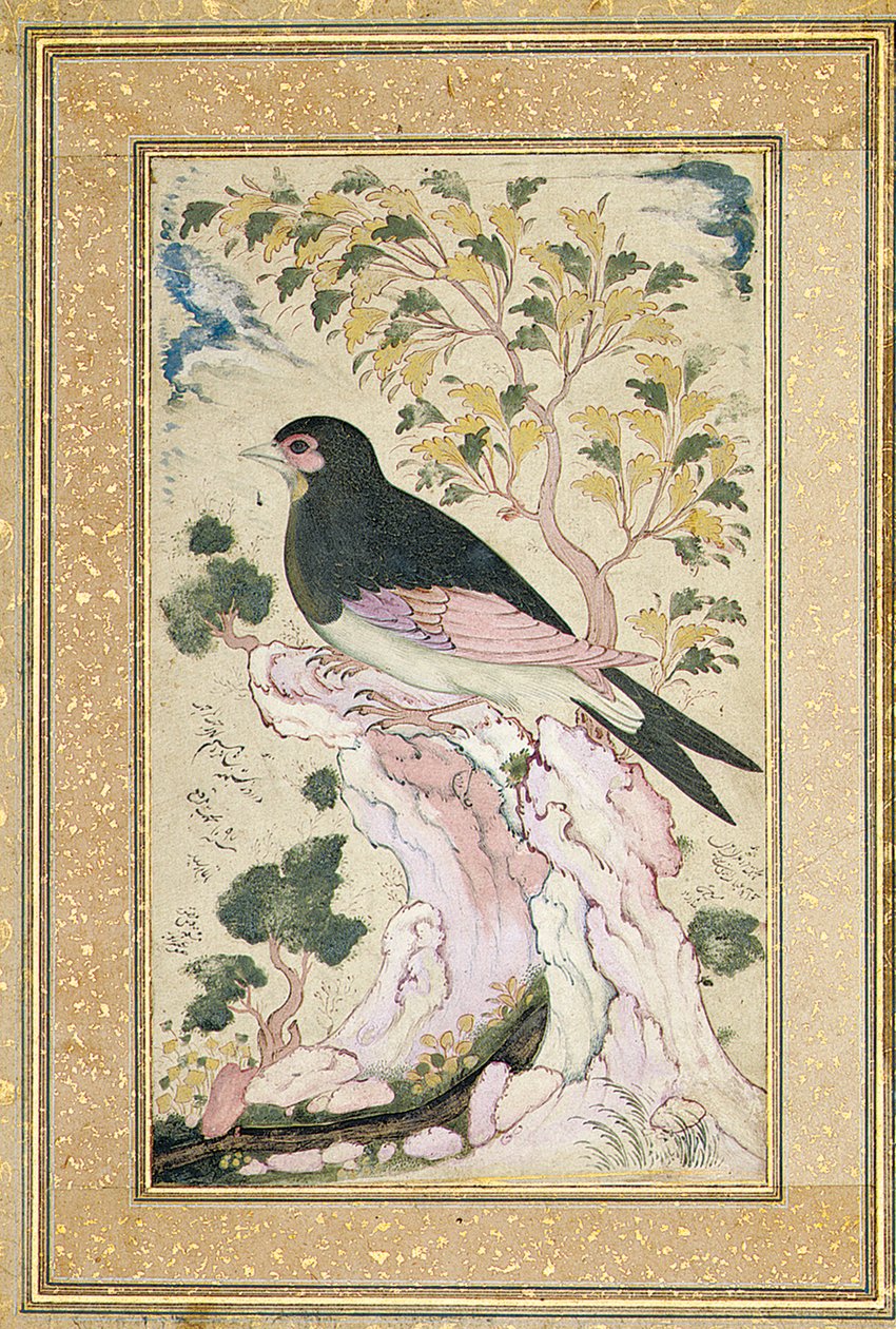 岩の上に止まった鳥、1684 作： ムイン・ムサヴビル