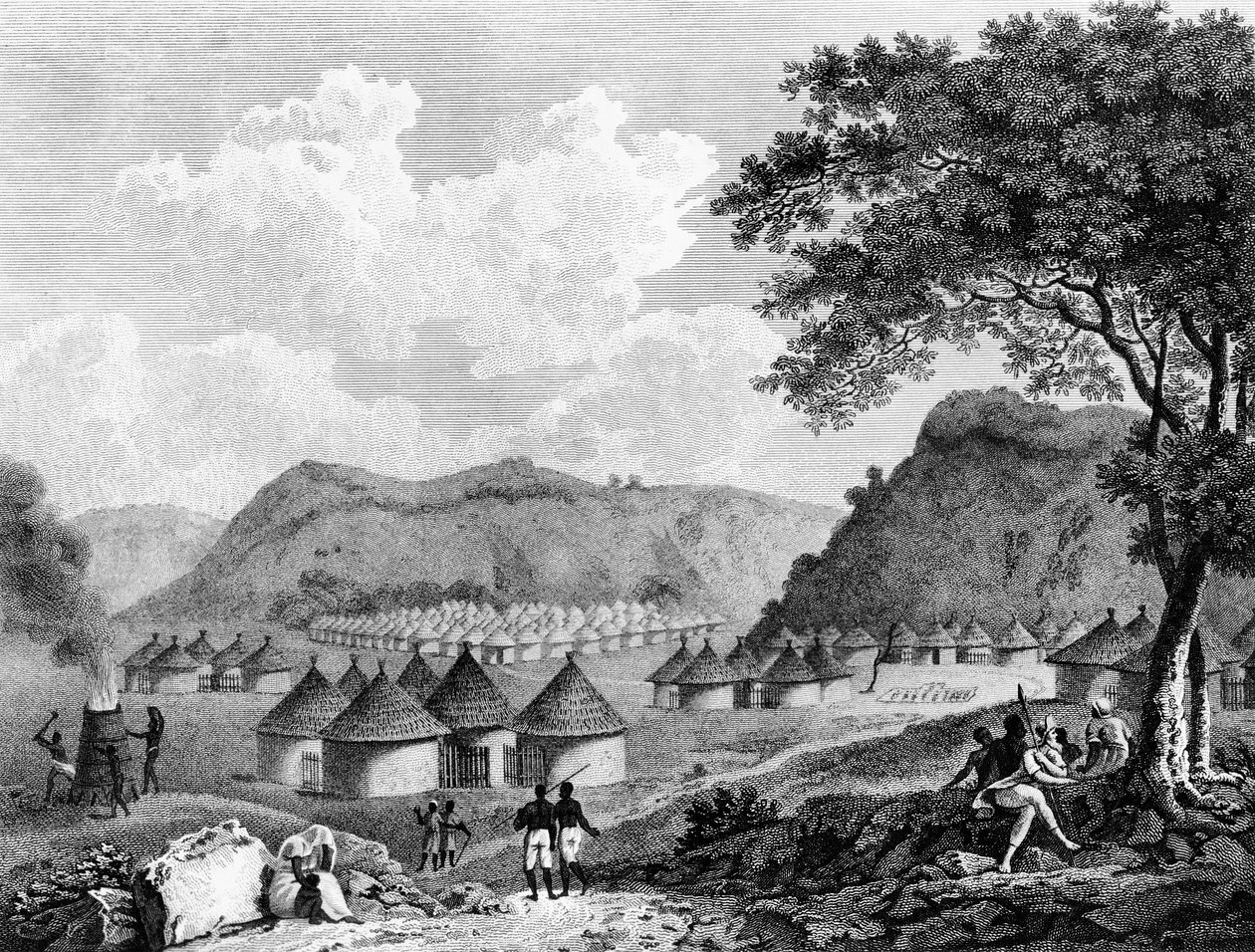 1799年のアフリカの内陸部の旅からのカマリア村の眺め 作： マングース公園