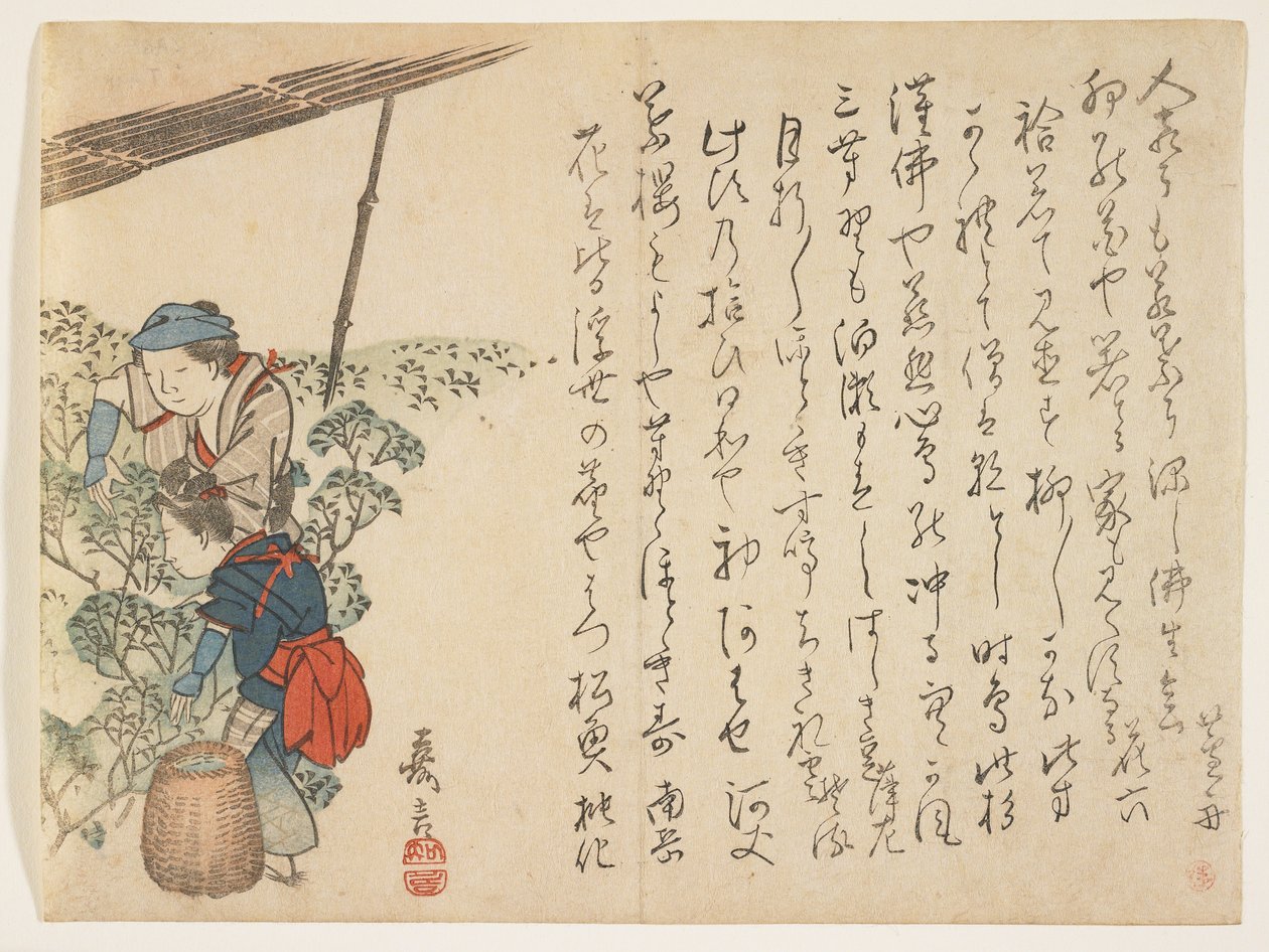 茶摘み機、1830〜44年頃（カラー木版印刷） 作： 村田花源