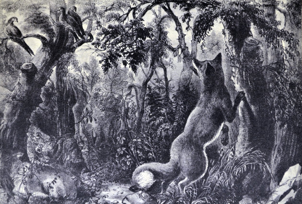 Currier＆Ivesイラスト19世紀。困惑したキツネ 作： N. and Ives、JM Currier