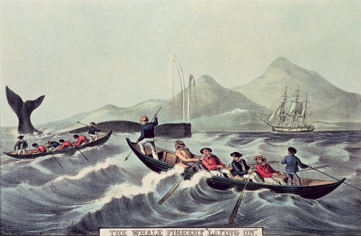クジラ漁業「敷設」、1852 作： N. and Ives、JM Currier