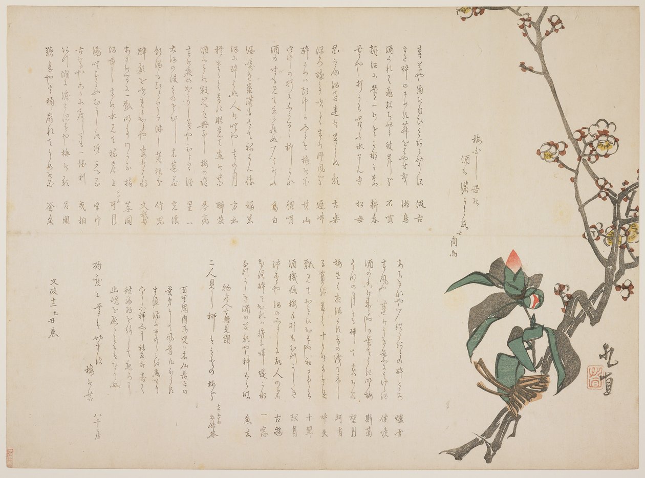 プラムとカメリアの枝、1829年（色木版画） 作： 長山国直