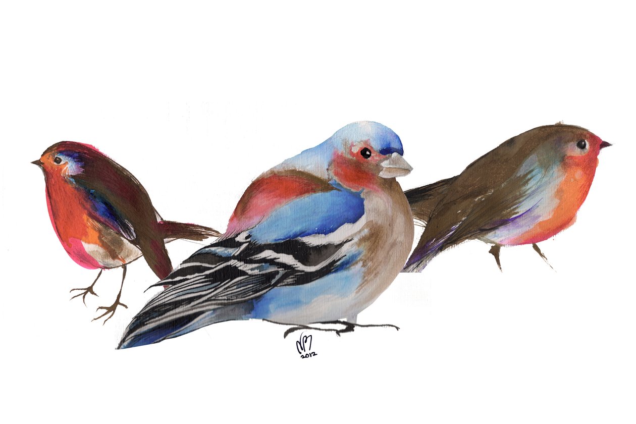 鳥の羽、2011年、紙にインク 作： ナンシーモニスチャラランブー
