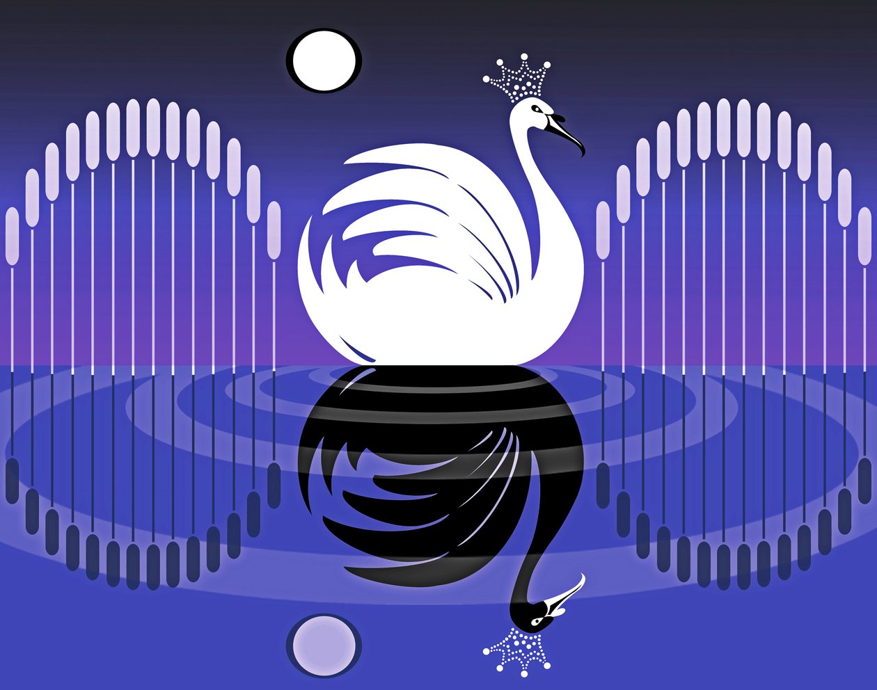 白鳥の湖II、2019 作： ニール・オズボーン