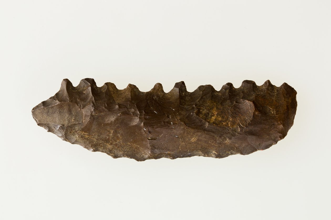 二刀流の鎌、紀元前4500～4000年頃（フリント 作： 新石器時代新石器時代