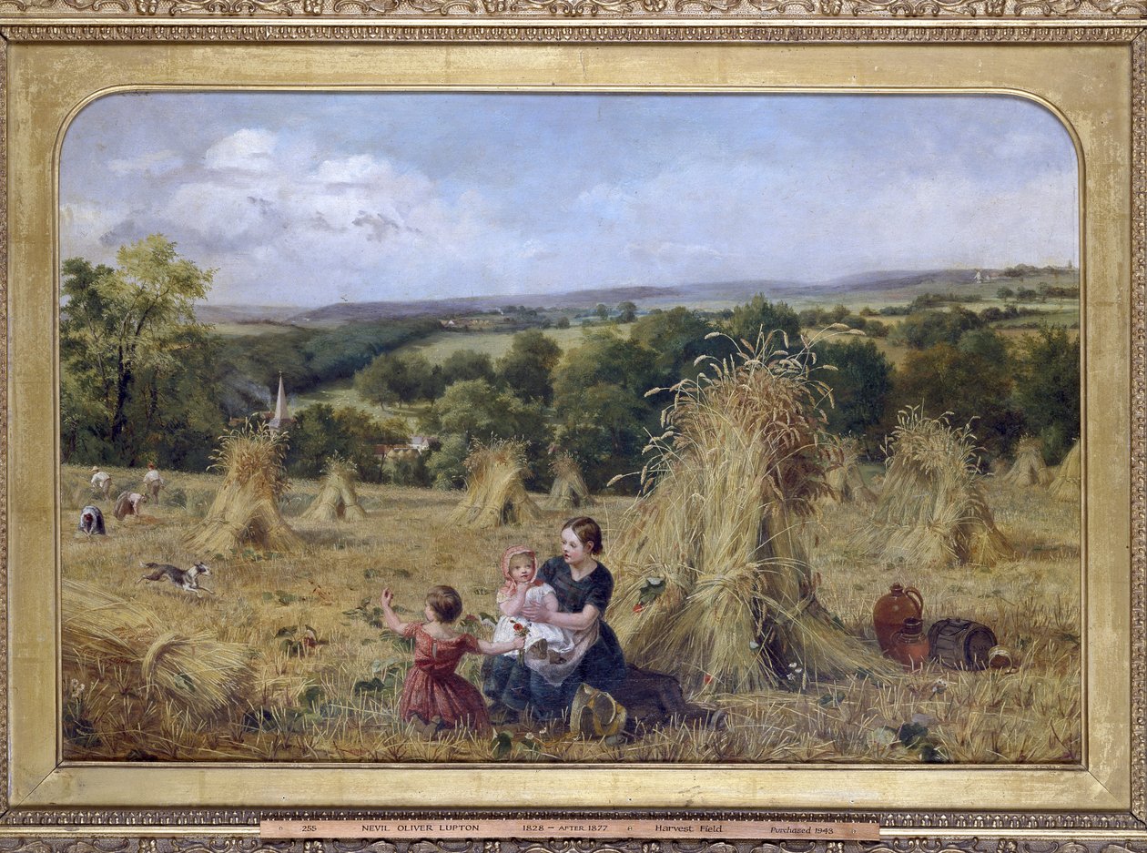 ハーベストフィールド、1857-1858 作： ネビル・オリバー・ラプトン
