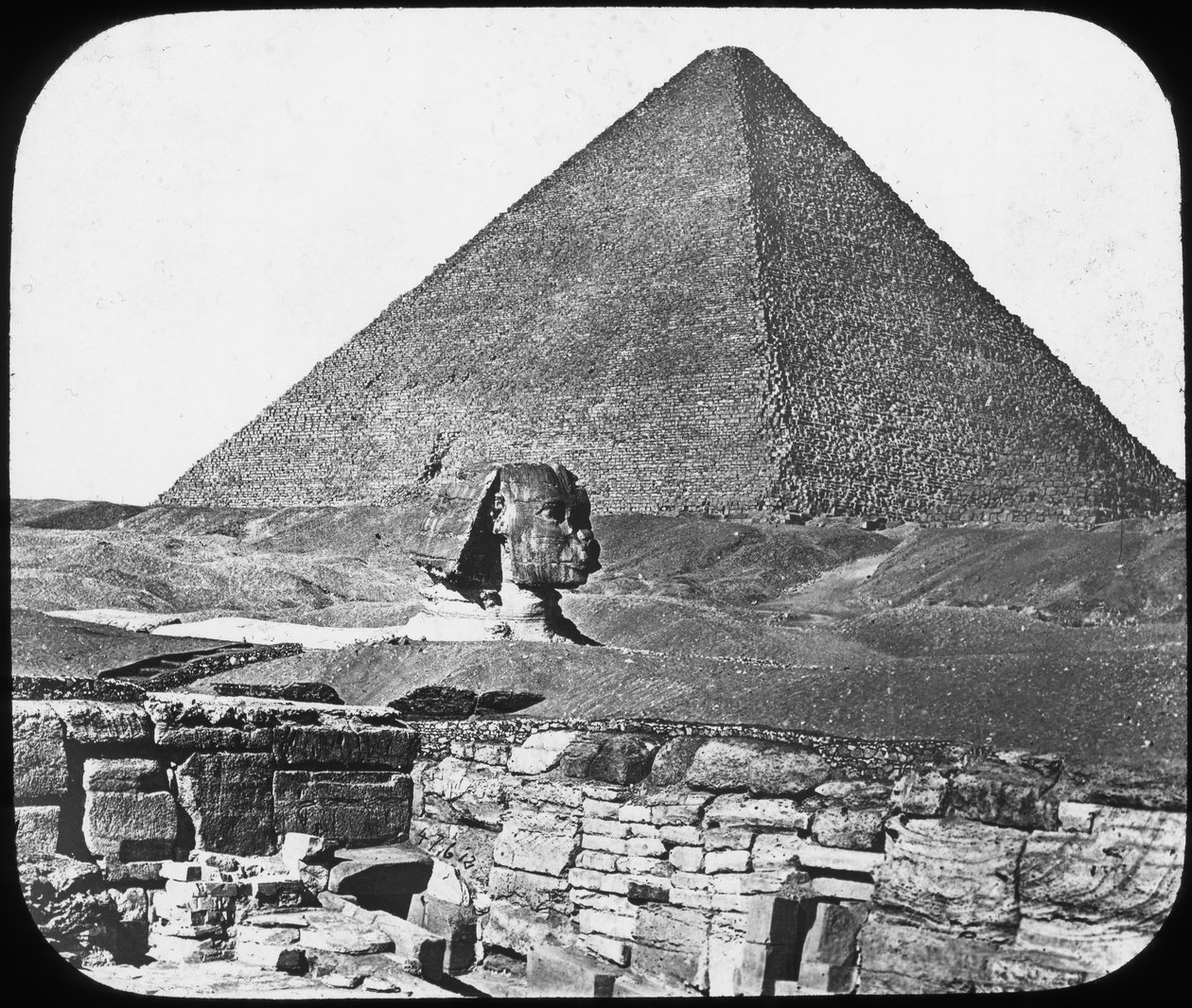 ギザの大スフィンクス、エジプト、c1890。 作： ニュートンとCo