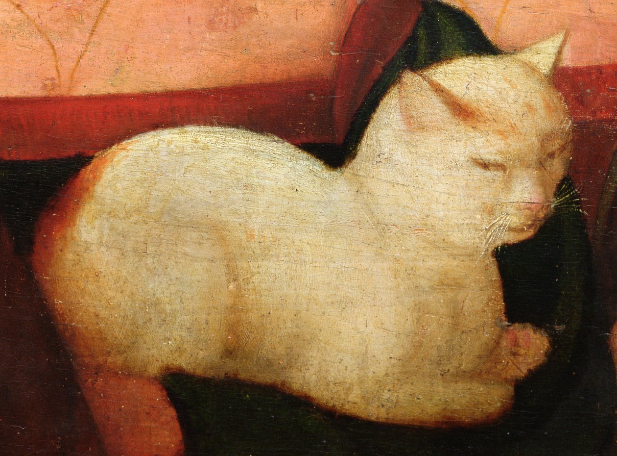 白猫、「猫を見て笑う四人」の詳細（221426の詳細） 作： ニッコロ・フランジパネ