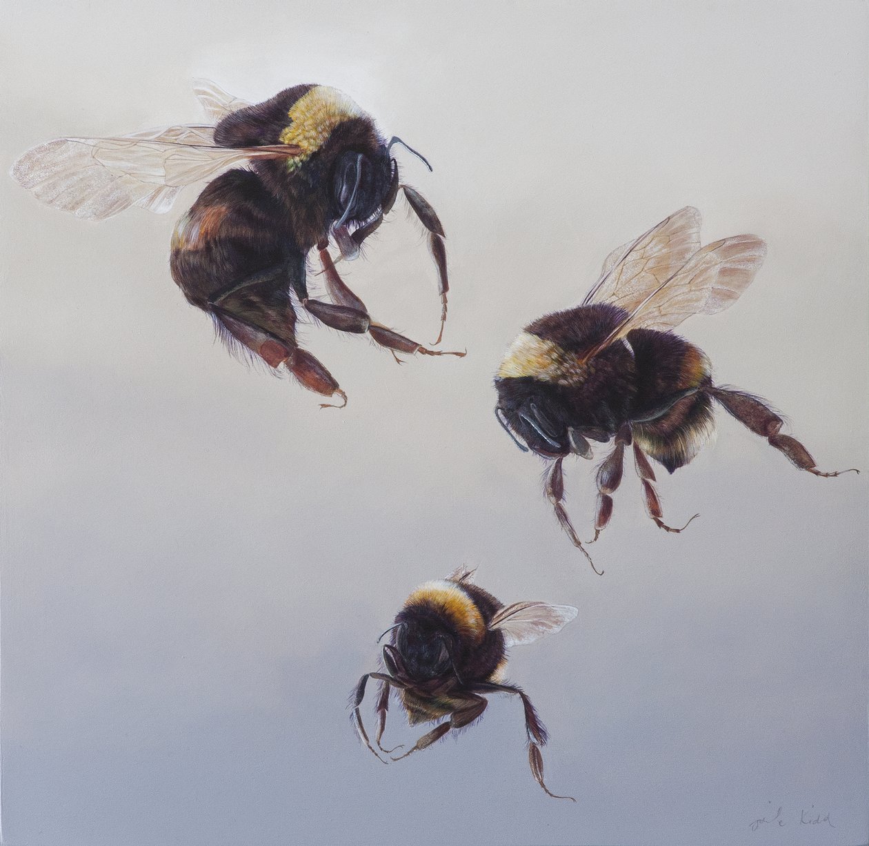 Bombus flight 1, 2011（アクリル、木） 作： オディール・キッド