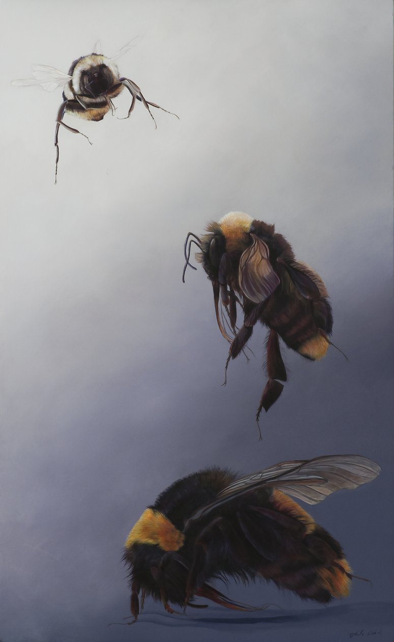 Bombus flight 2, 2011（アクリル、木） 作： オディール・キッド