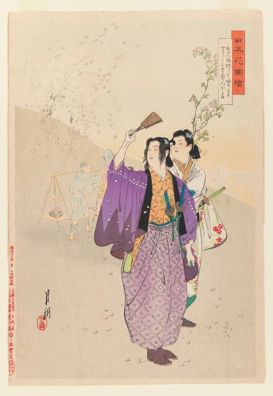 Dandiesは、1893年の花の庭園の写真シリーズから落ちる桜を賞賛します（木版カラープリント） 作： 尾形月光