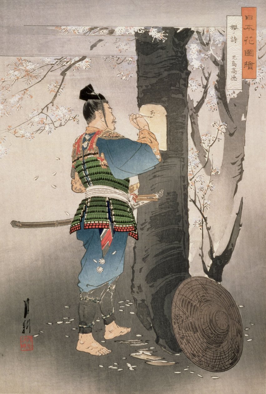児島孝典「桜の詩」シリーズ「花の写真」1895年（版画） 作： 尾形月光