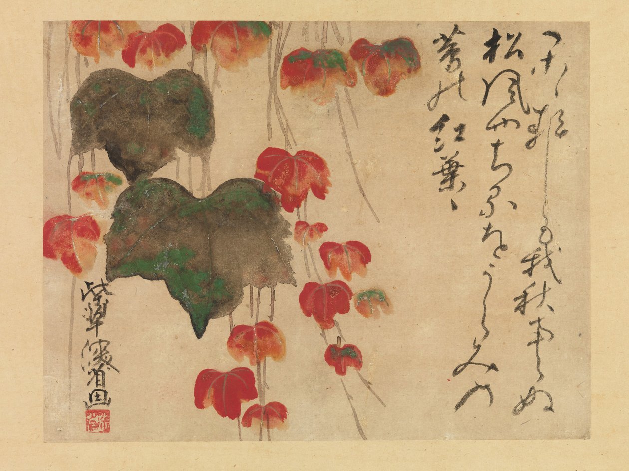 1732年以降の秋のアイビー（紙にインク、色、金） 作： 緒方健山