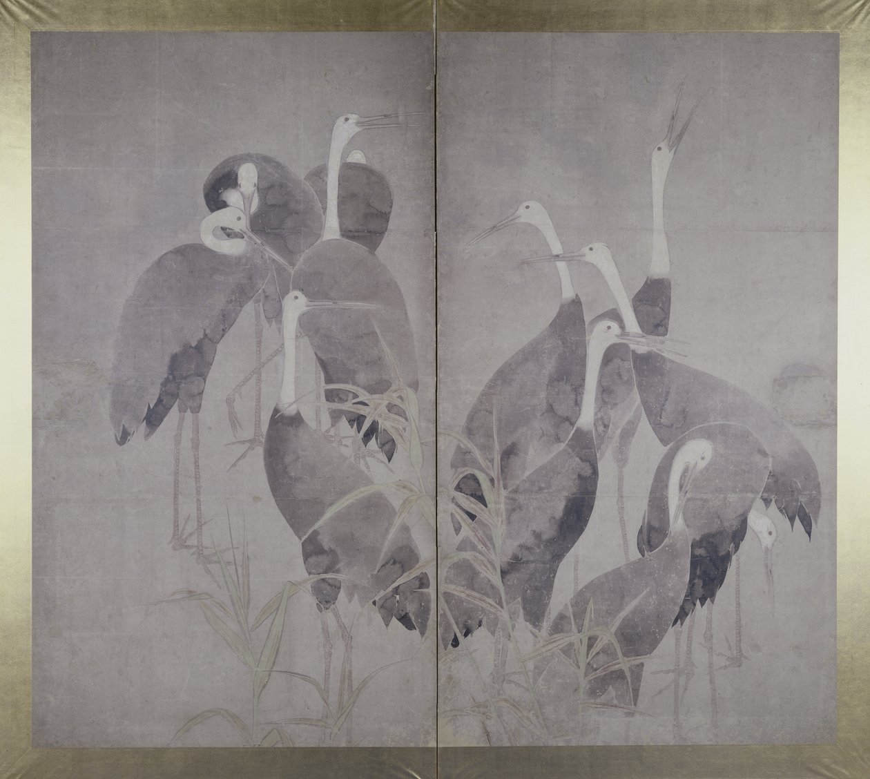 乾葦床に立っている11匹のメスの鶴、c.1700-50（インクと紙の色） 作： 尾形光琳