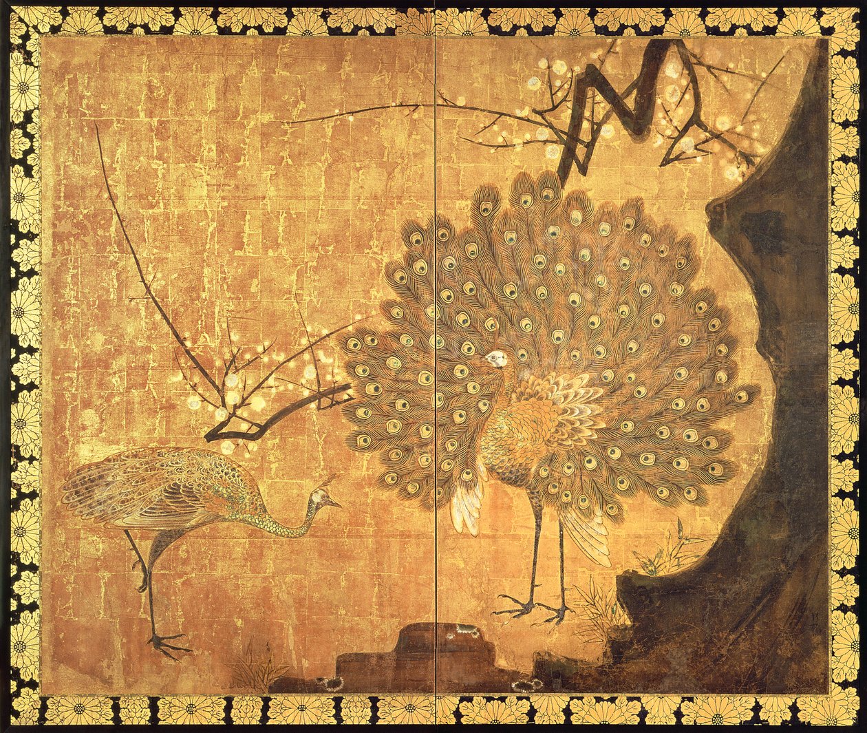 孔雀、江戸時代（紙に墨、色、金） 作： 尾形光琳