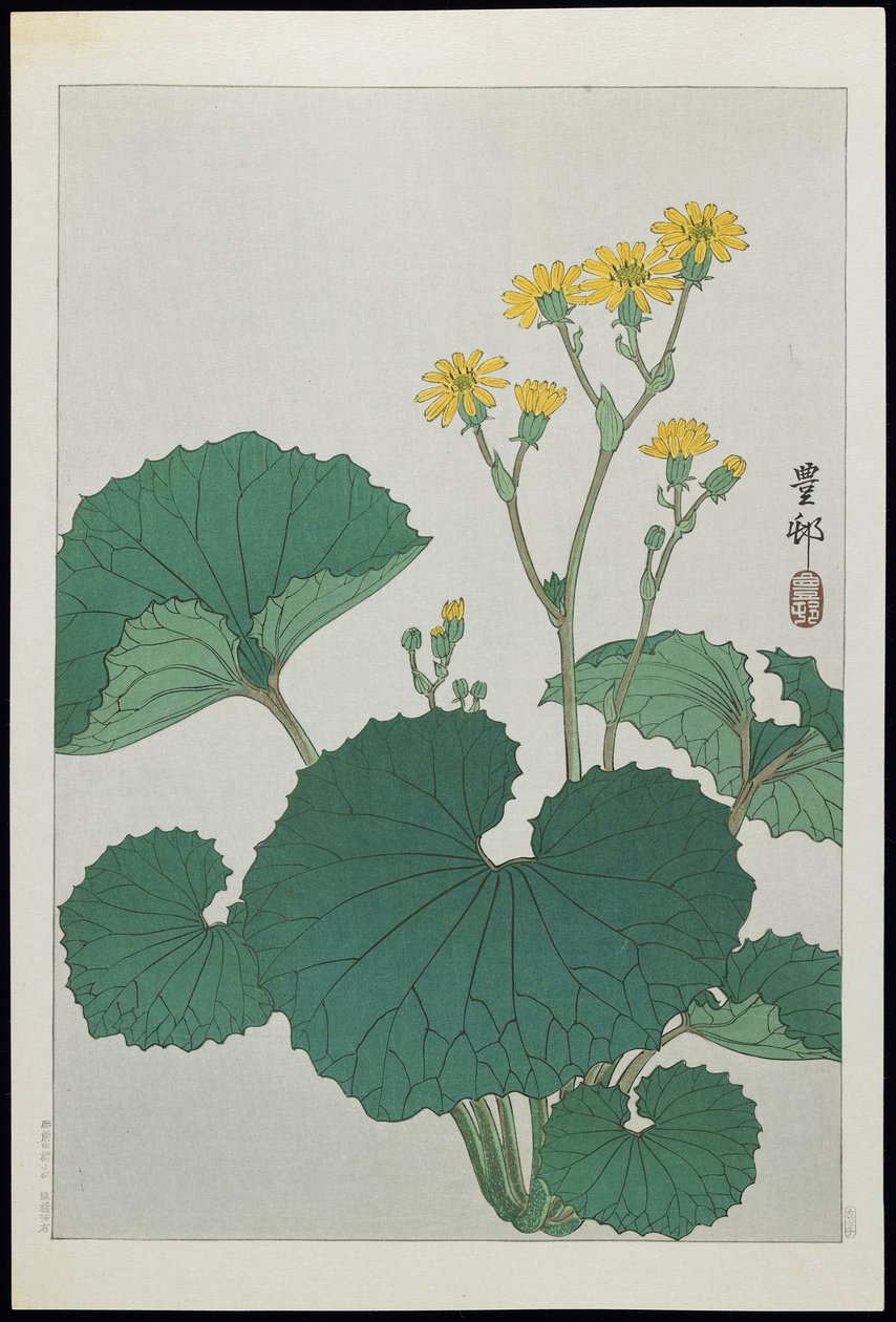 日本の銀葉の花、1930年代 作： 大原光子