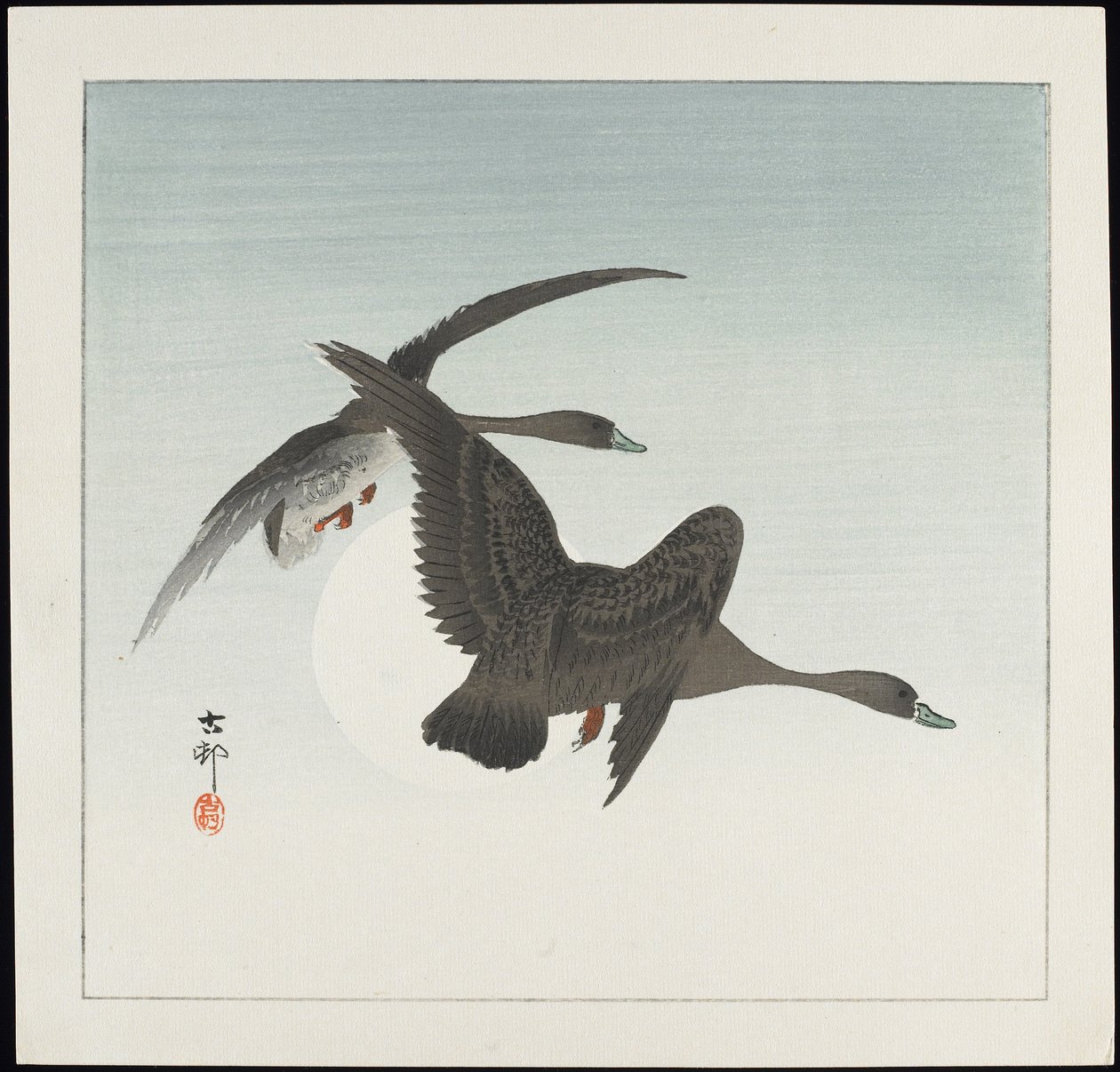 1912年以前の飛行中のガチョウ 作： 大原光子