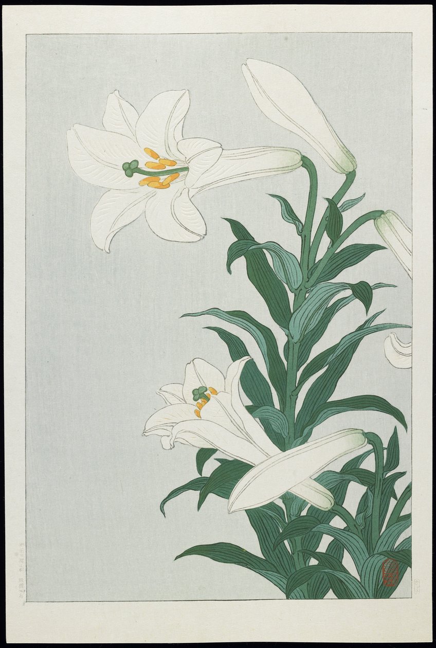 ホワイトリリー、1930年代（色の木版画） 作： 大原光子