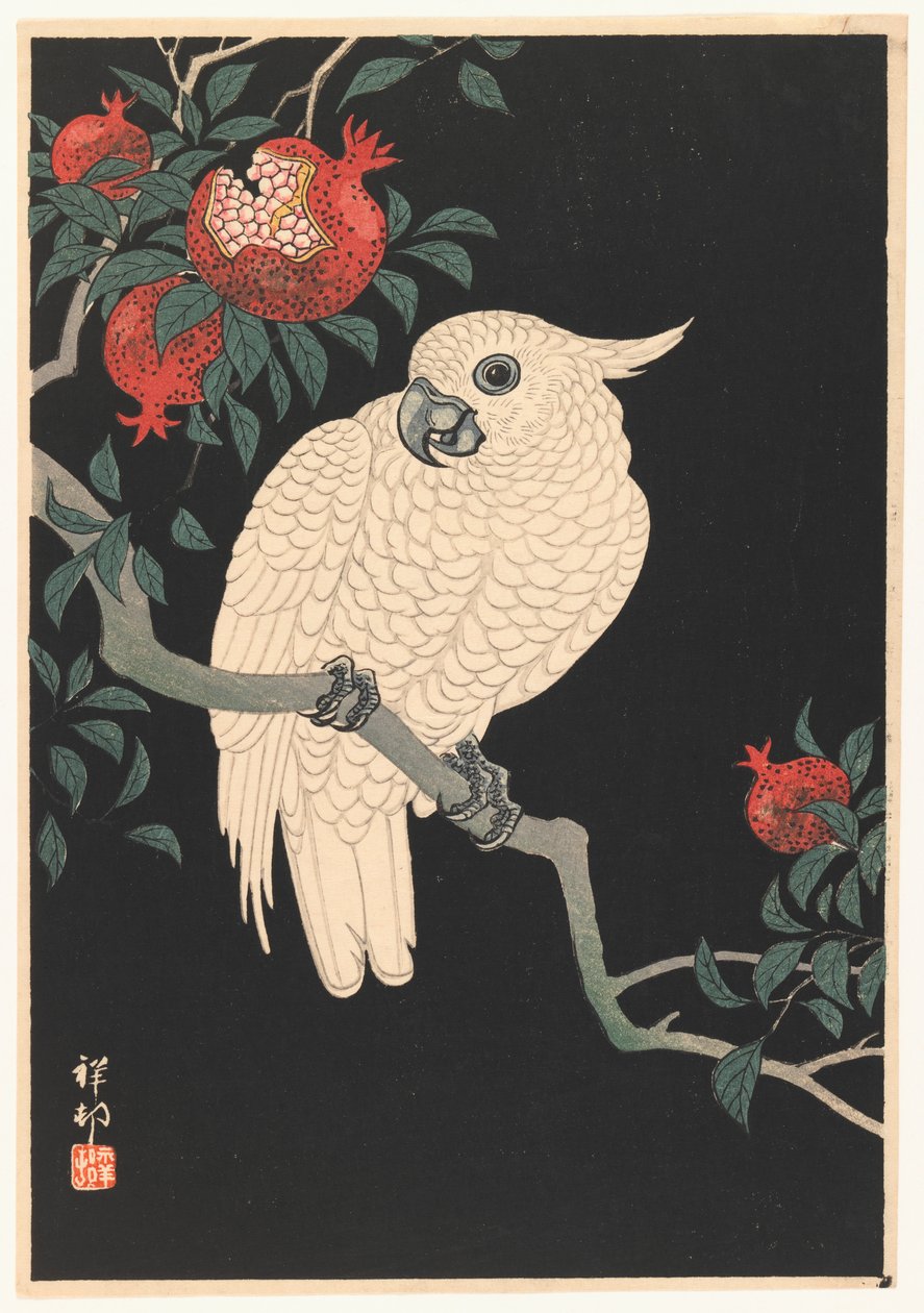 白いオウムとザクロ、1927-1989（木版印刷） 作： 大原光子