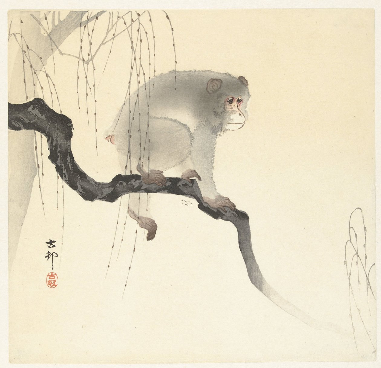 木の枝に猿 作： 大原光子