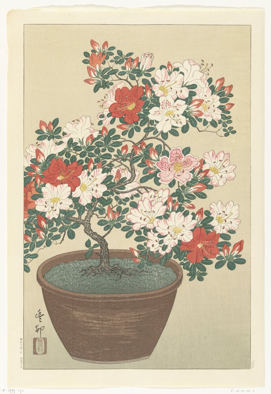 茶色の鍋に咲くツツジ 作： 大原光子