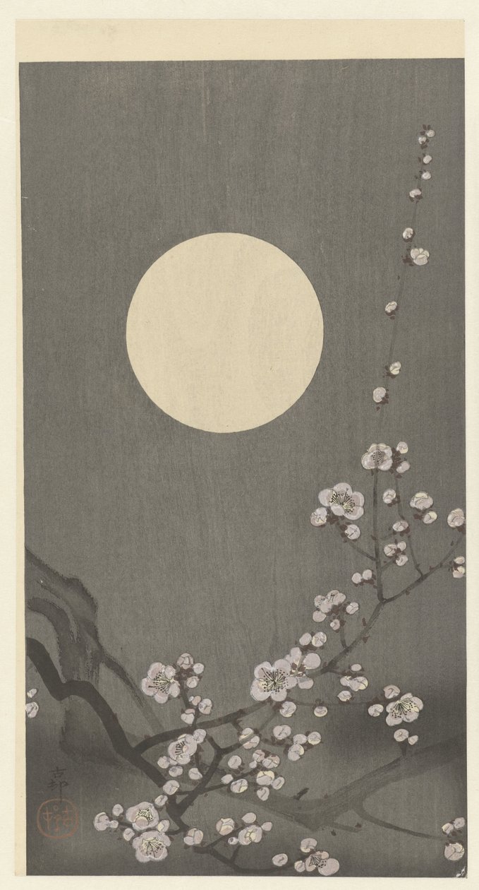 満月に咲く梅の花 作： 大原光子