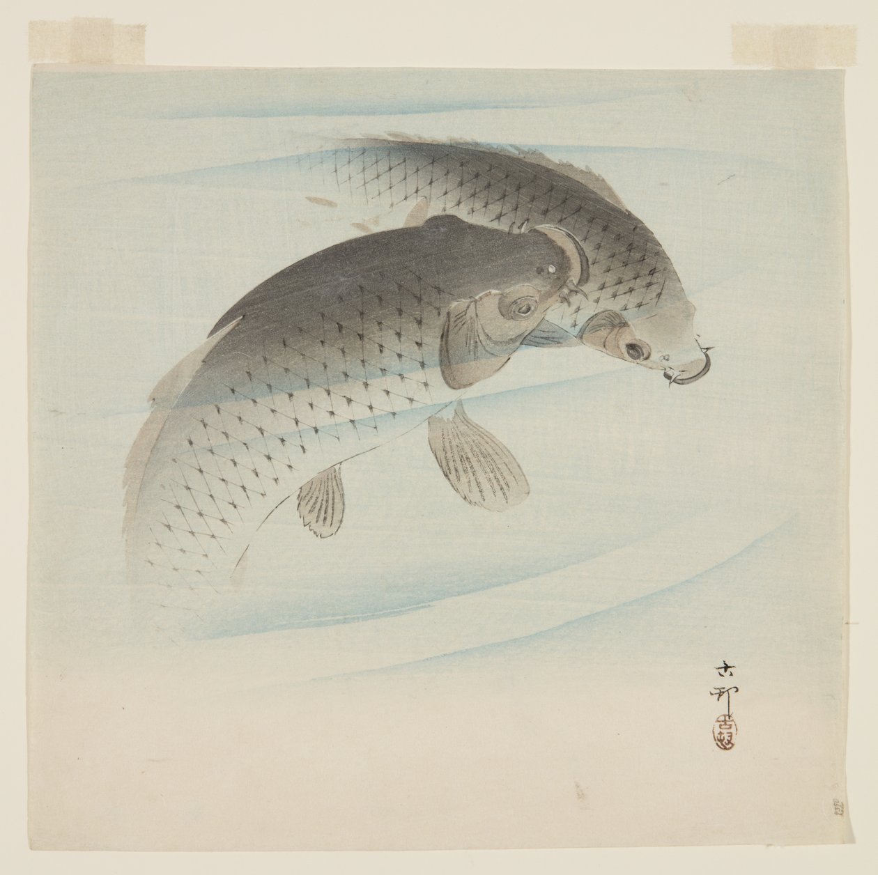 鯉（コイ）（カラー木版画 作： 大原光子