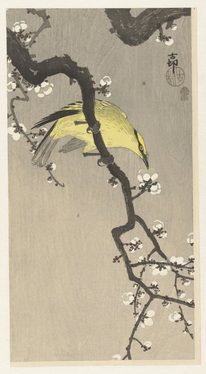 梅の花の枝に中国オリオール 作： 大原光子