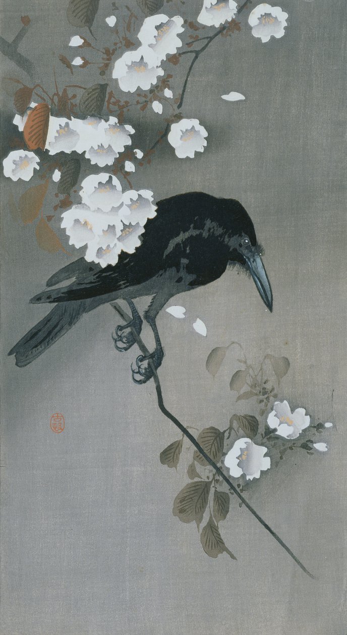 桜の枝にいるカラス 作： 大原光子