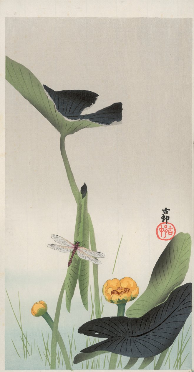 トンボとハス（カラー木版画 作： 大原光子