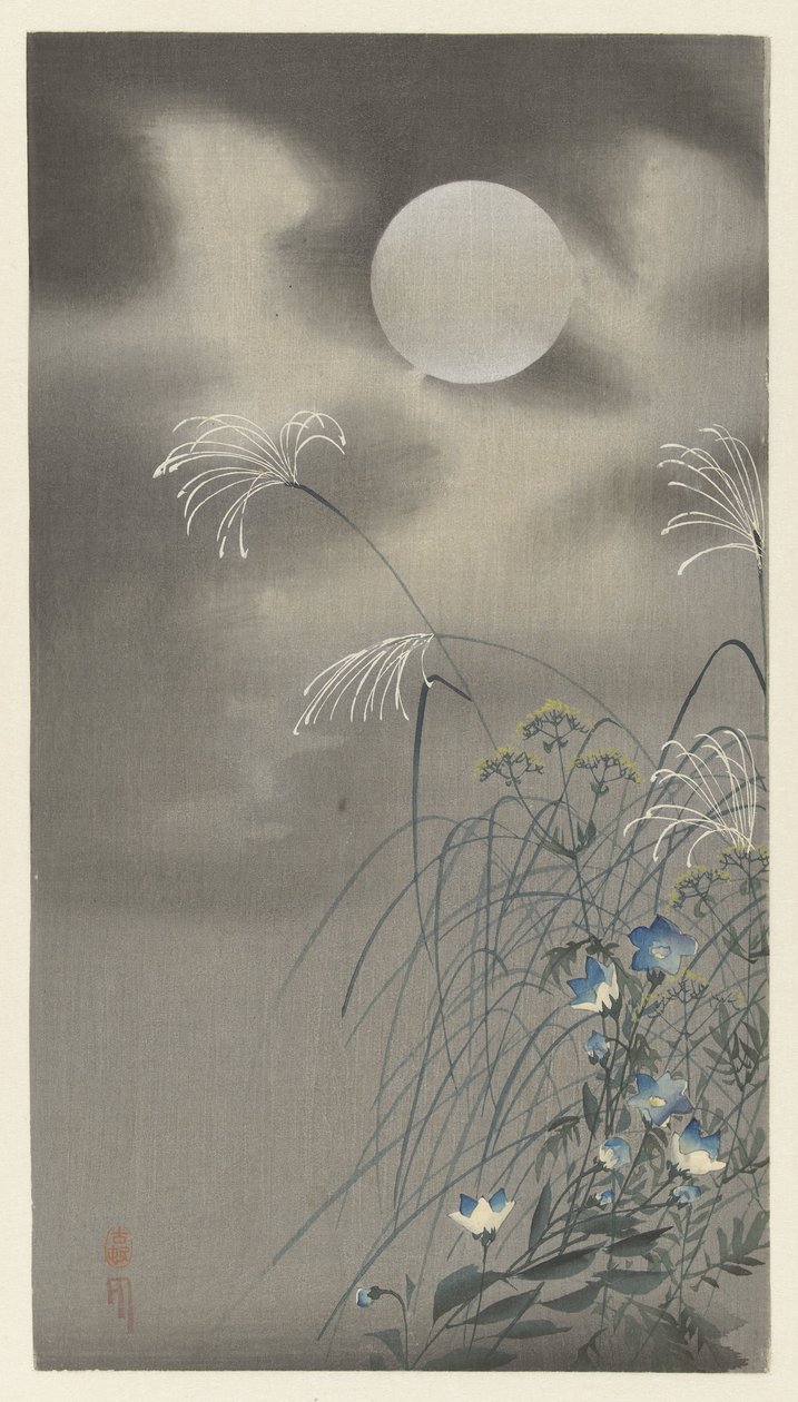 満月の草と花 作： 大原光子